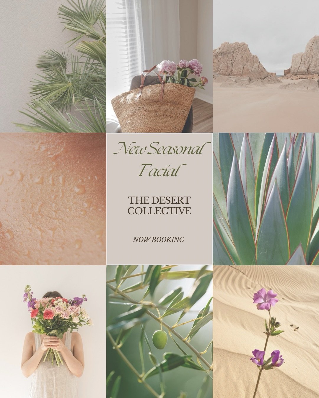 The Desert Collective is about restoring what winter took from your skin and bringing it back to life in a thoughtful, curated way.

If your skin has been feeling off lately, this is for you. 🌵🏝️

$185
Add Dermaplane or Microdermabrasion for $25
* 