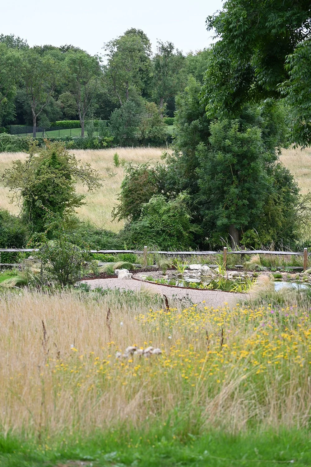 robert-johnson-garden-design-Cambridgeshire-pond-natural-wildlife-stream-planting.jpg