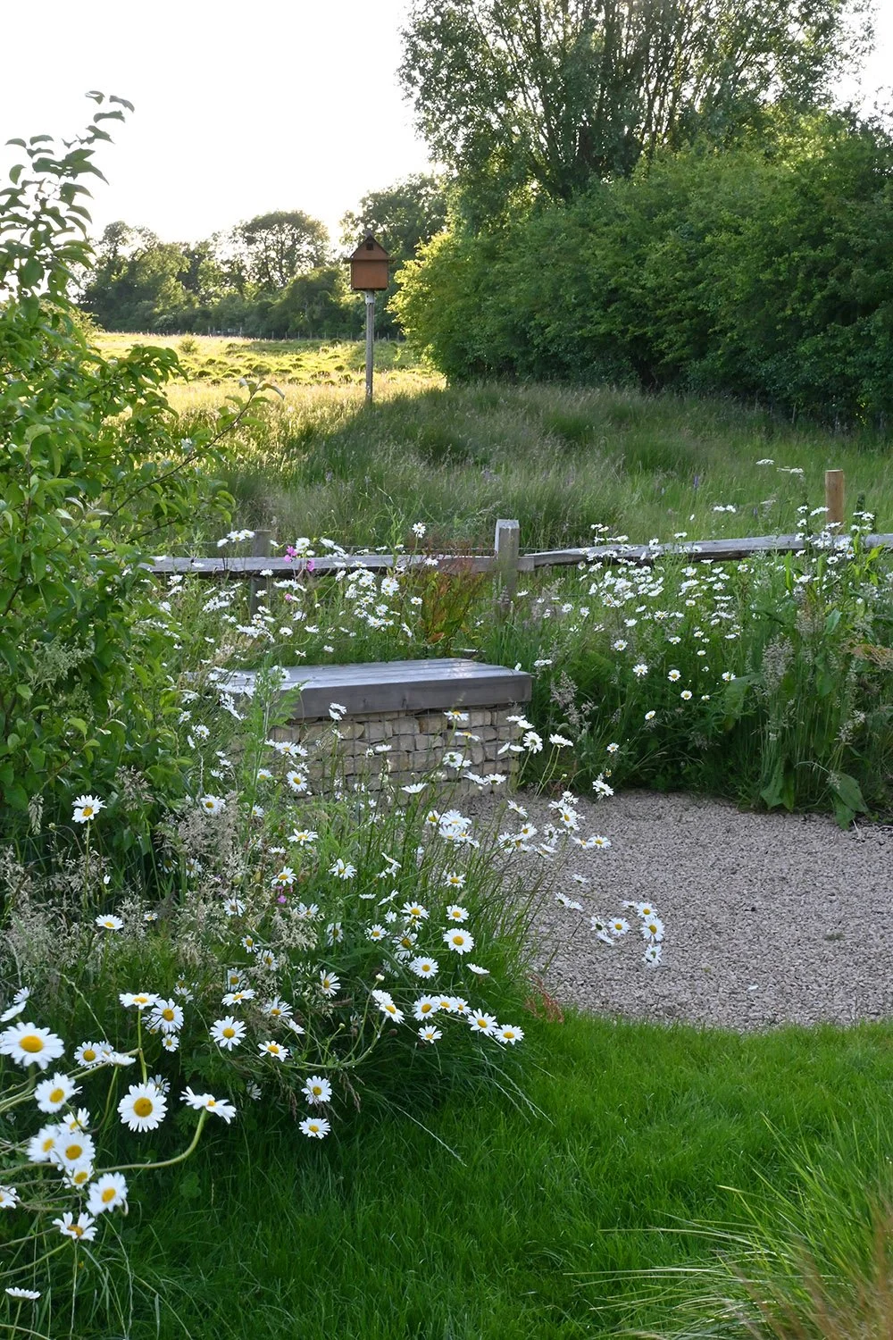 robert-johnson-garden-design-Cambridgeshire-bespoke-seating-meadow.jpg