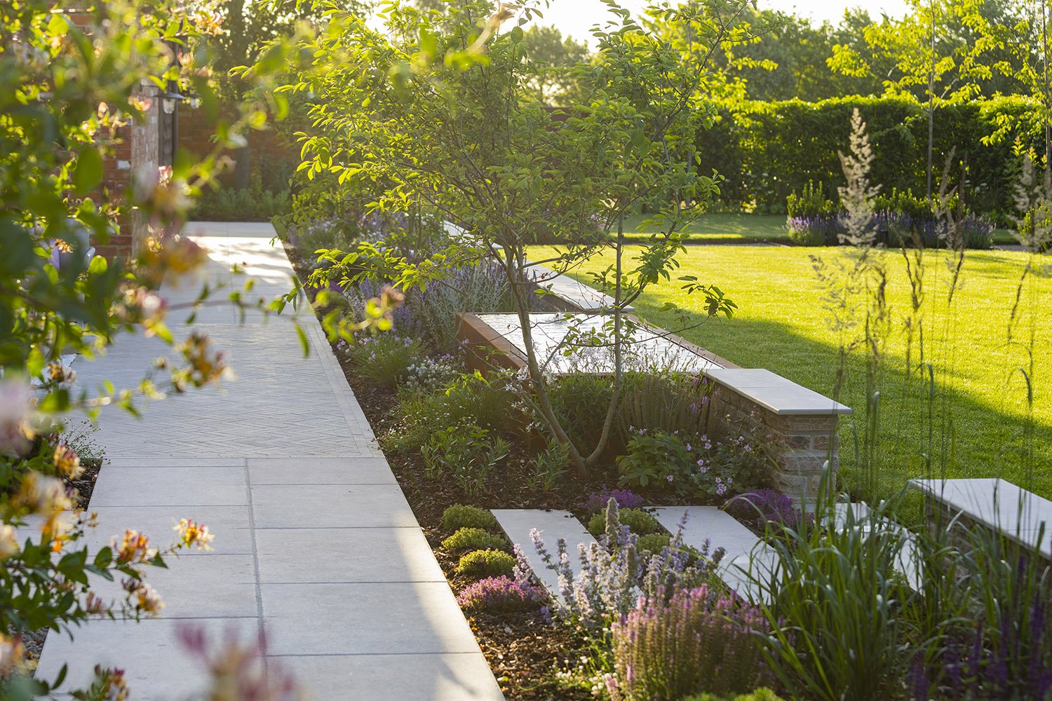 robert-johnson-garden-design-Lincs-evening-sunlight-multistem-trees-soft-planting.jpg