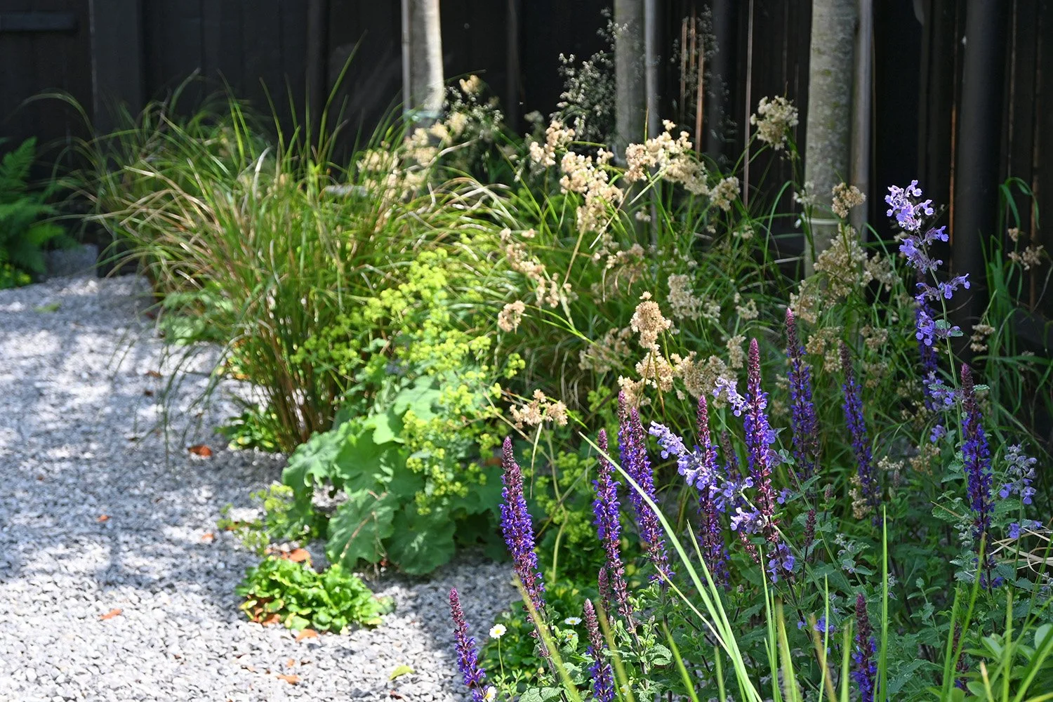robert-johnson-garden-design-Stamford- planting-scheme-purple-yellow.jpg