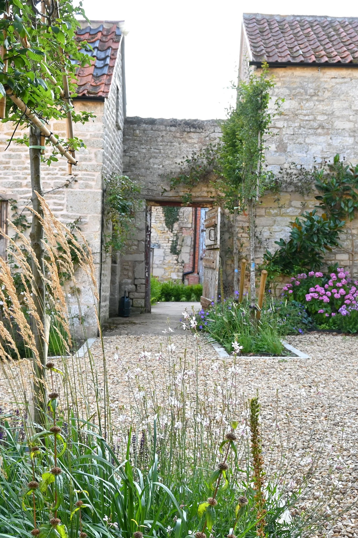 robert-johnson-garden-design-Grantham-courtyard-wall-gate-planting.jpg