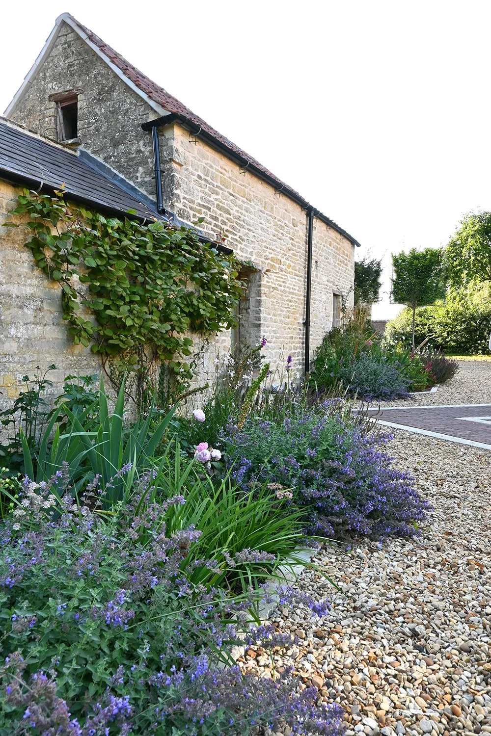 robert-johnson-garden-design -Grantham-gravel-driveway-stone-cottage-soft-planting.jpg
