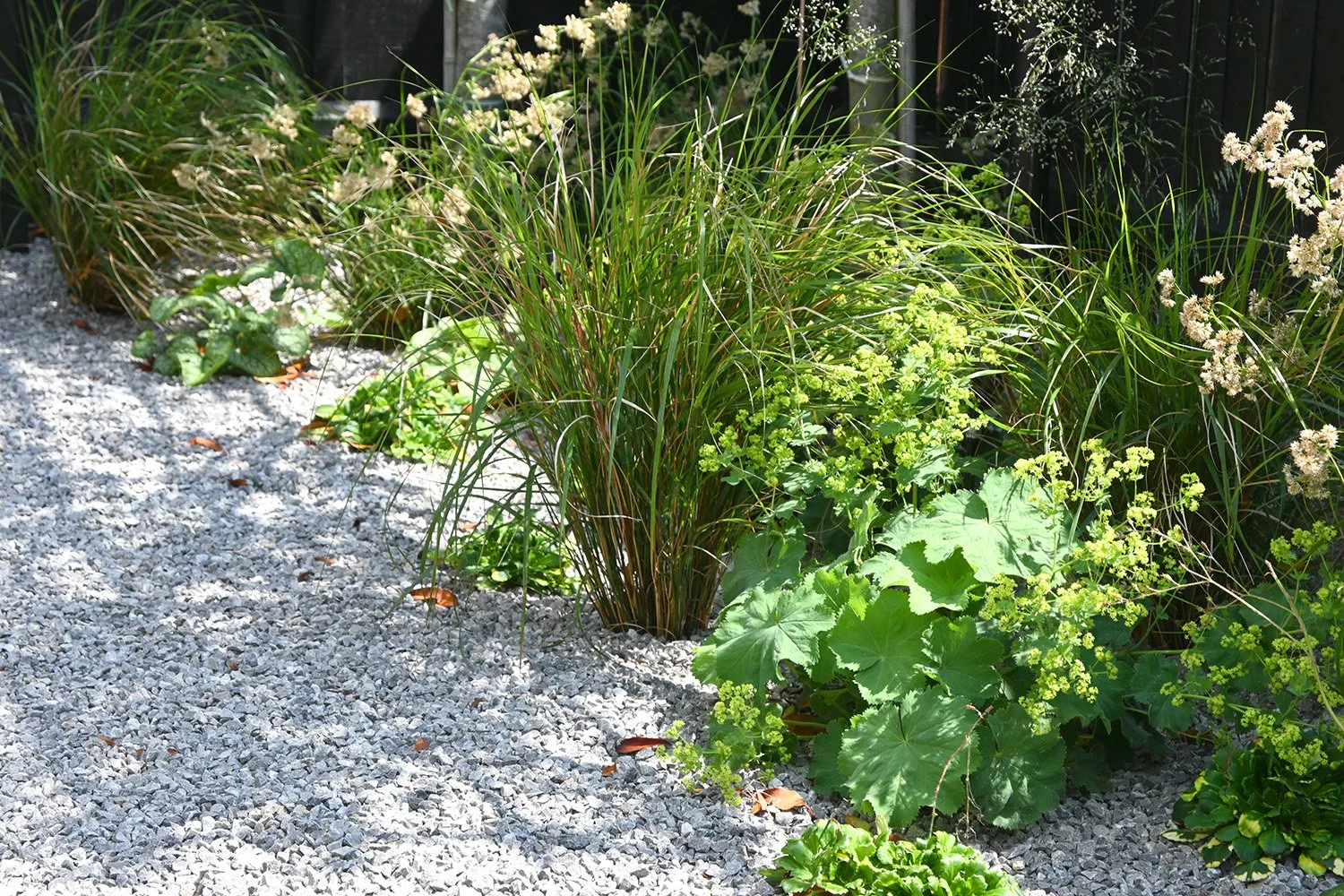 robert-johnson-garden-design-Stamford- soft-planting-scheme.jpg