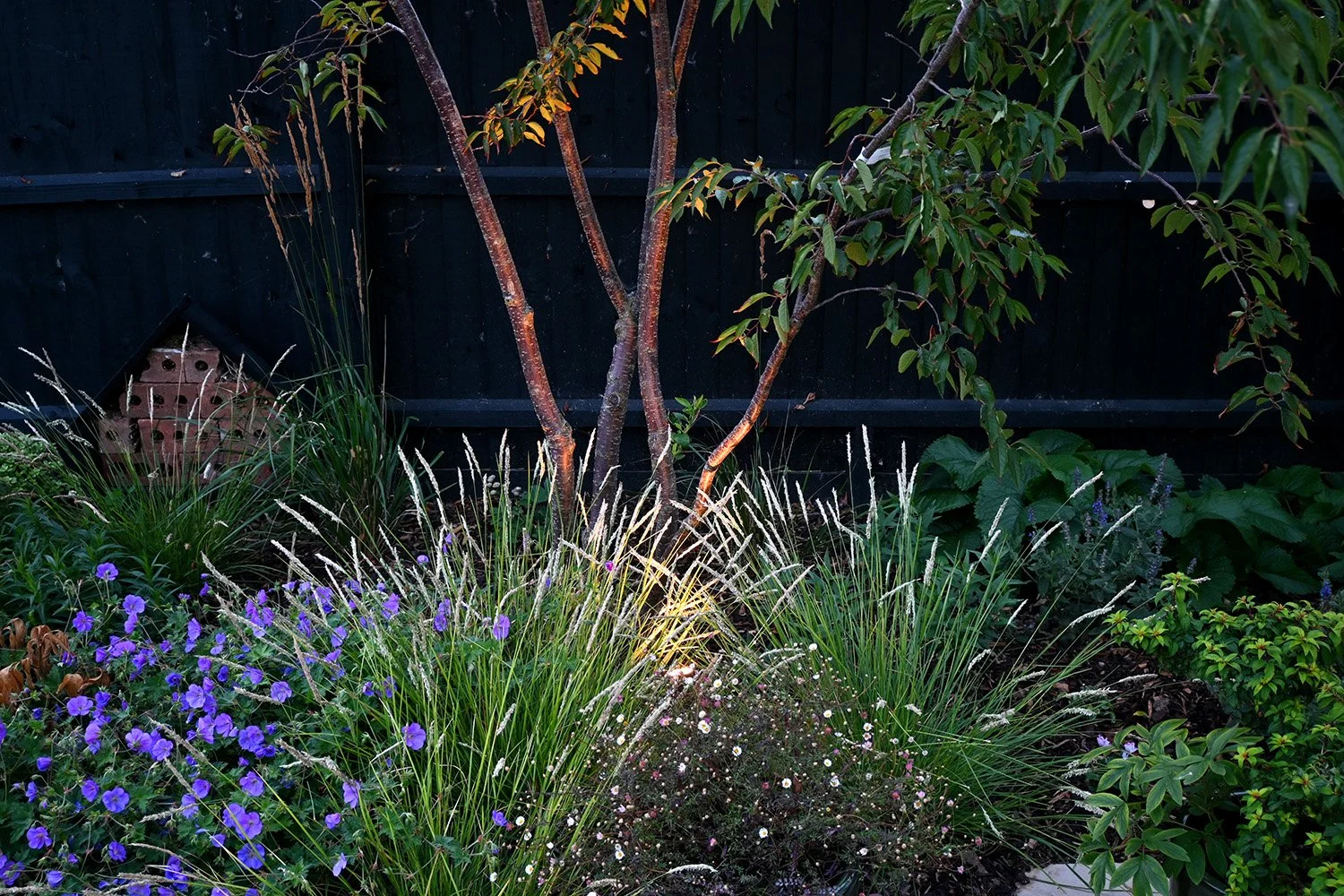 robert-johnson-garden-design-Langtoft-illuminated planting-2.jpg