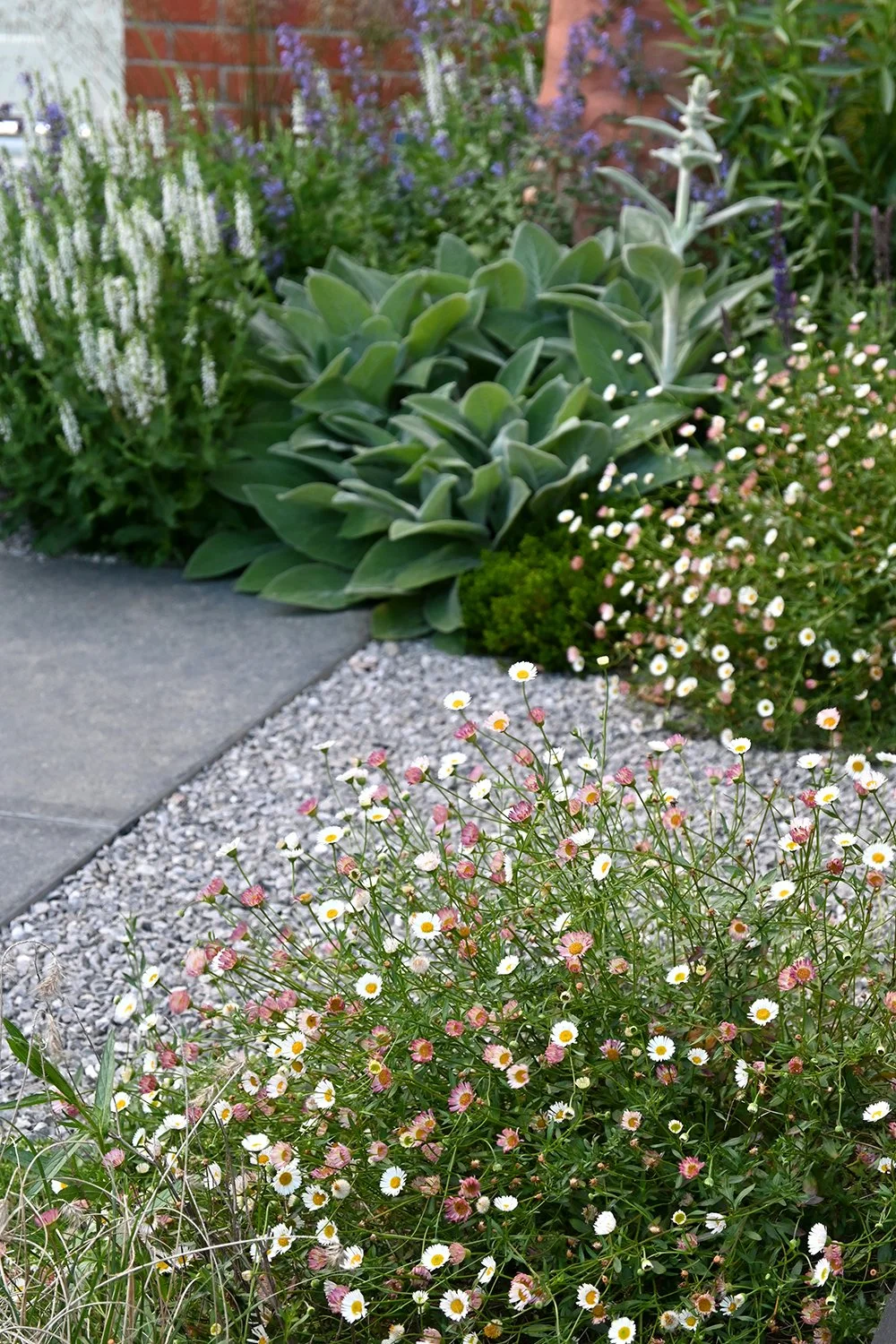 robert-johnson-garden-design-colourful-plants.jpg