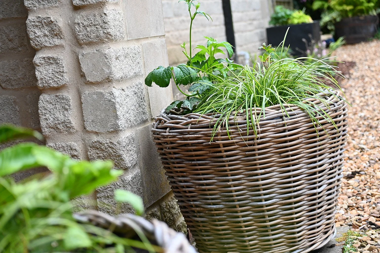 robert-johnson-garden-design-Cambridgeshire-planted-pots-wicker-baskets-shady.jpg
