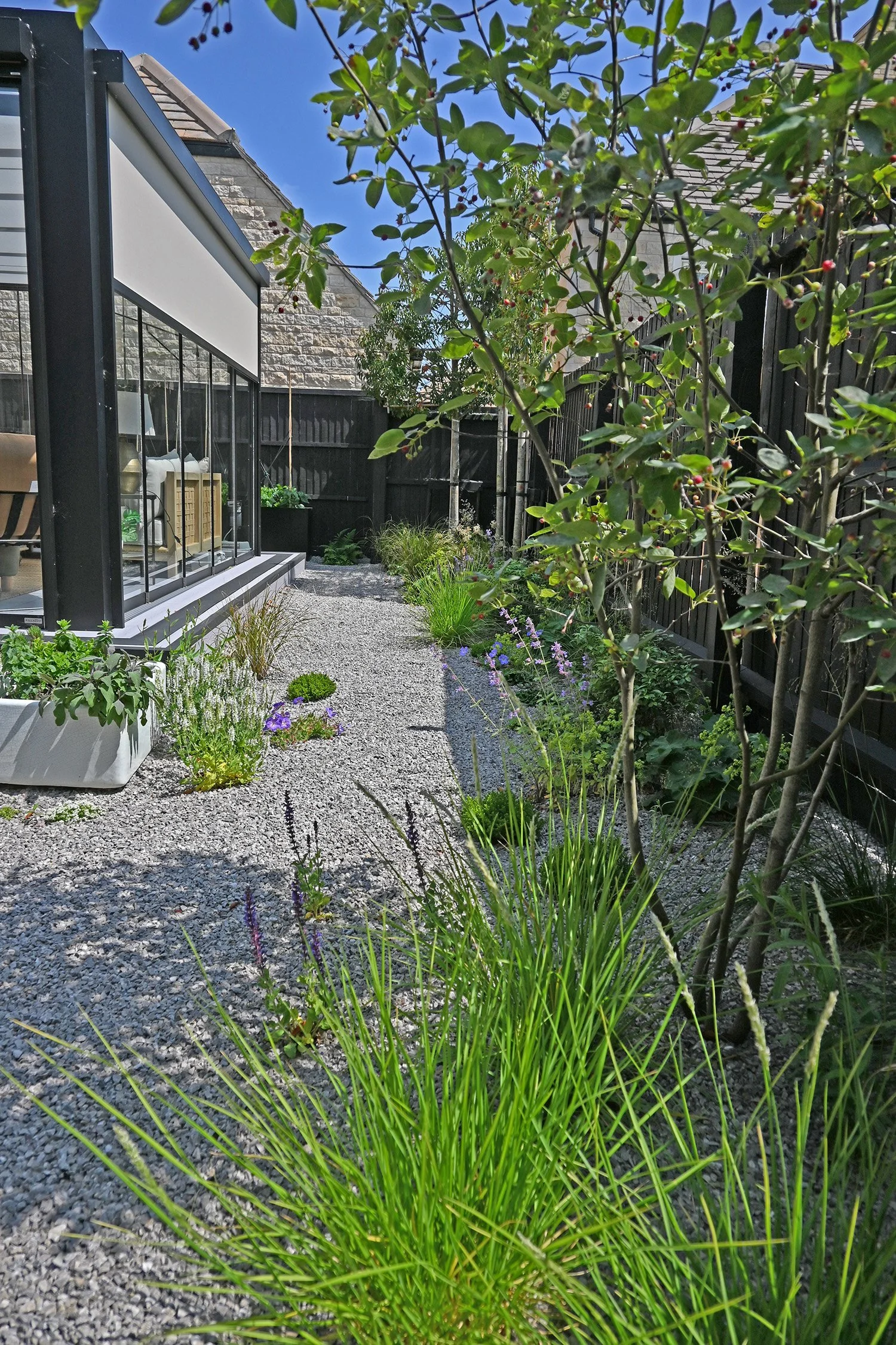 robert-johnson-garden-design-Stamford- gravel-planting-natural-scheme (2).jpg