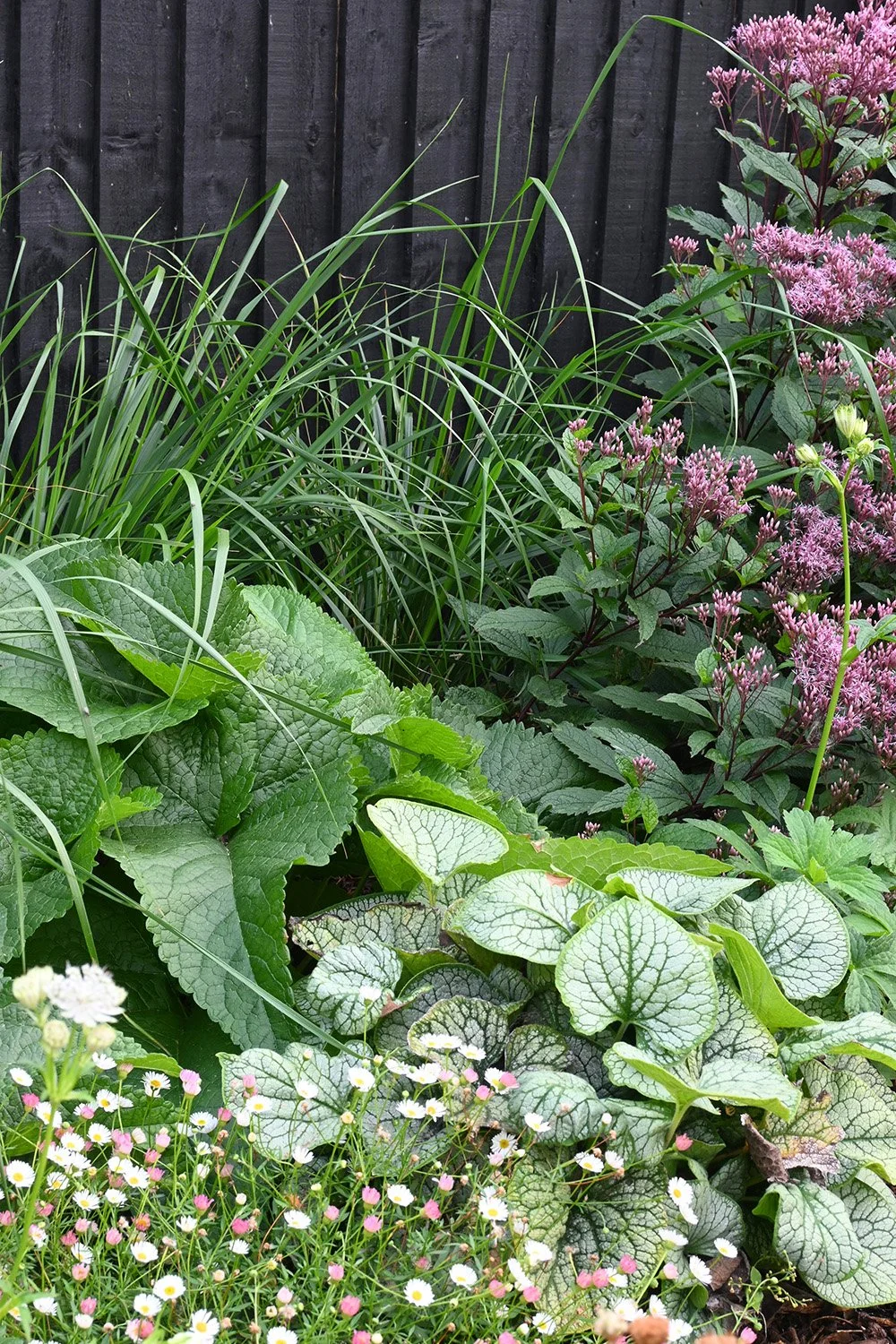 robert-johnson-garden-design-planting-shady-colourful-flowers.jpg