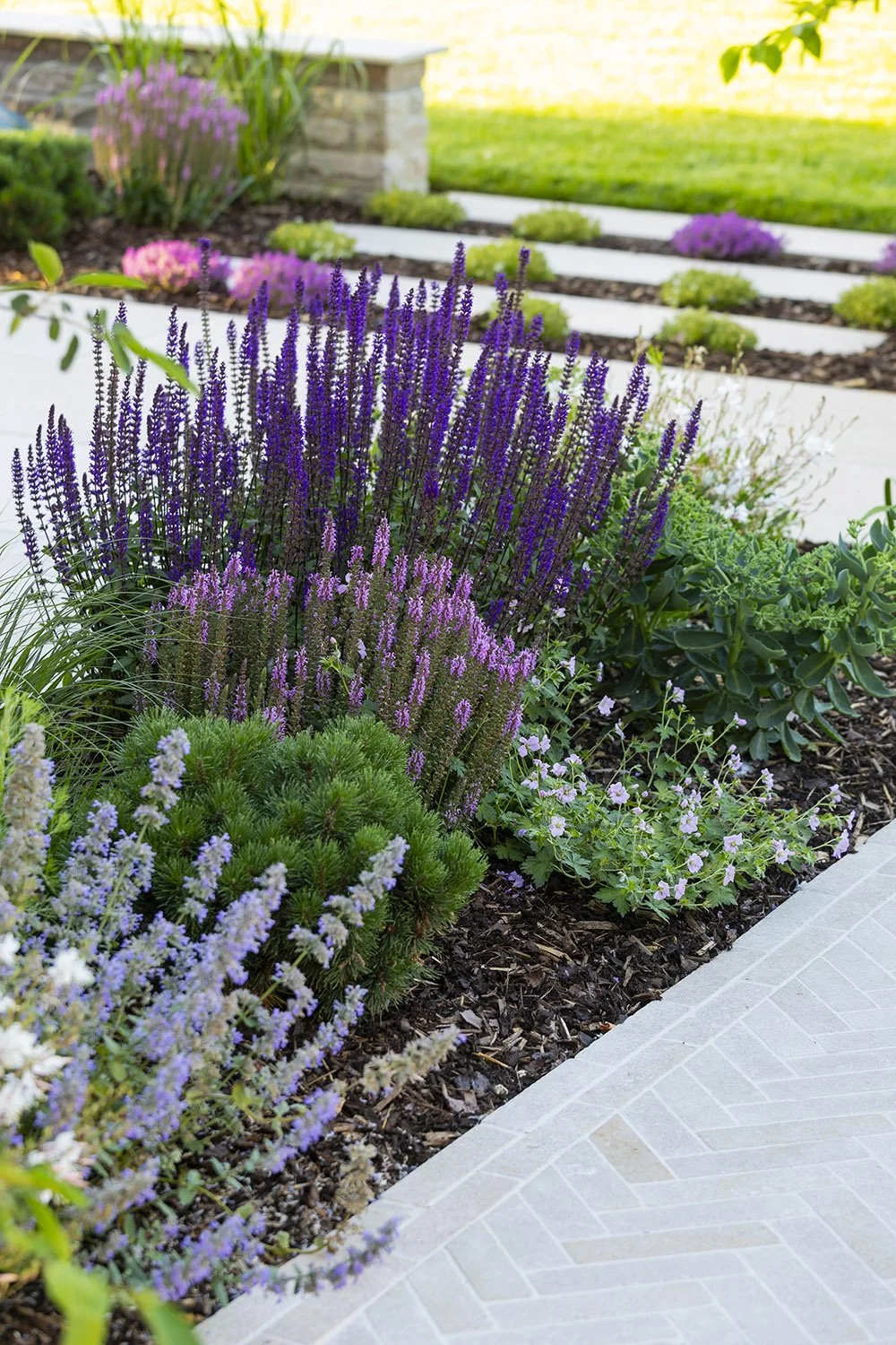robert-johnson-garden-design-Lincs-soft-planting-herringbone-paving-stepping-stones.jpg
