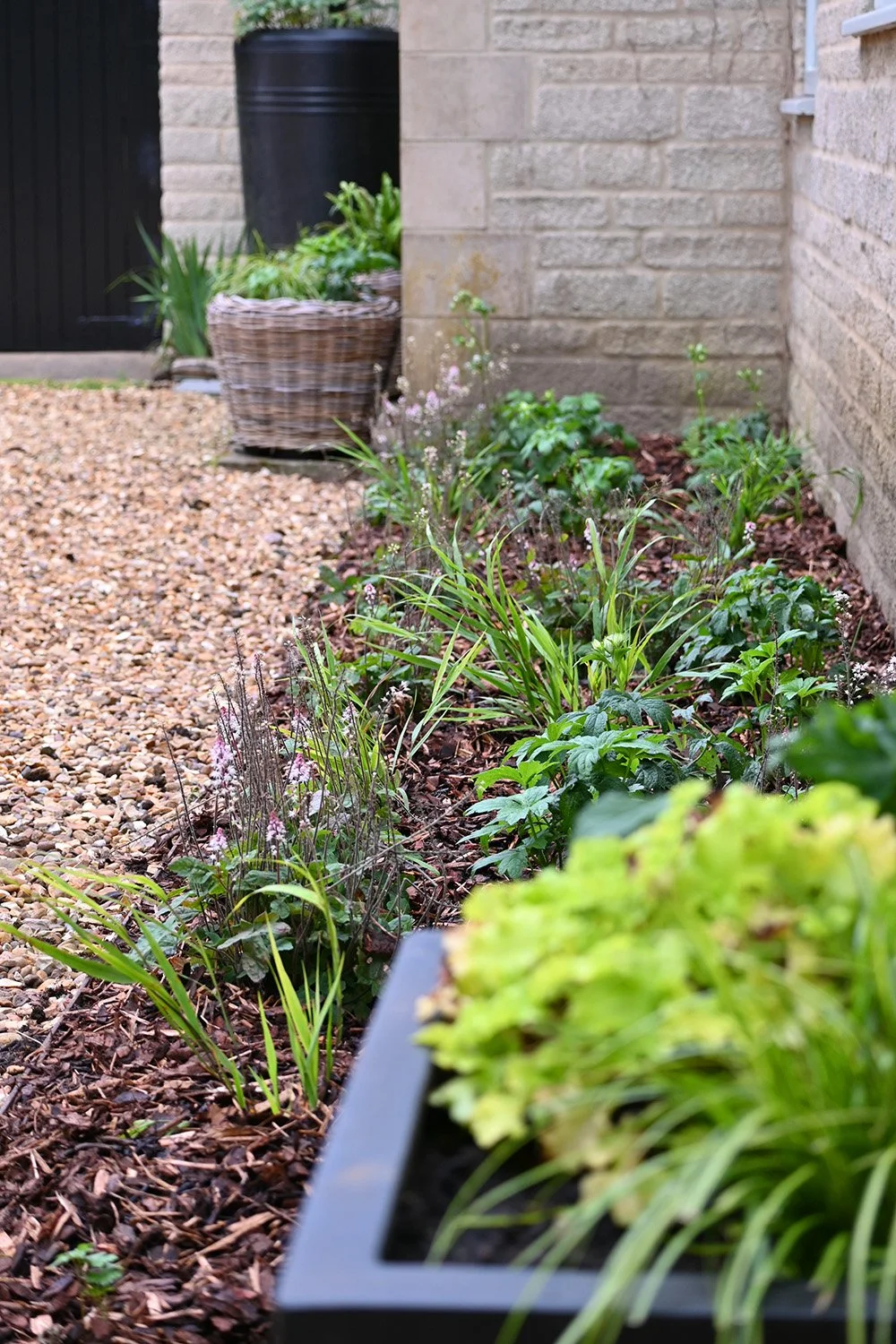 robert-johnson-garden-design-Cambridgeshire-front-garden beds-planting.jpg