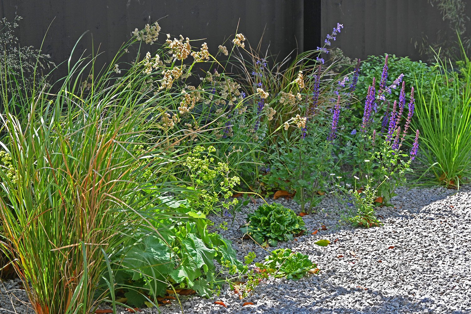 robert-johnson-garden-design-Stamford- gravel-planting-modern-grasses.jpg