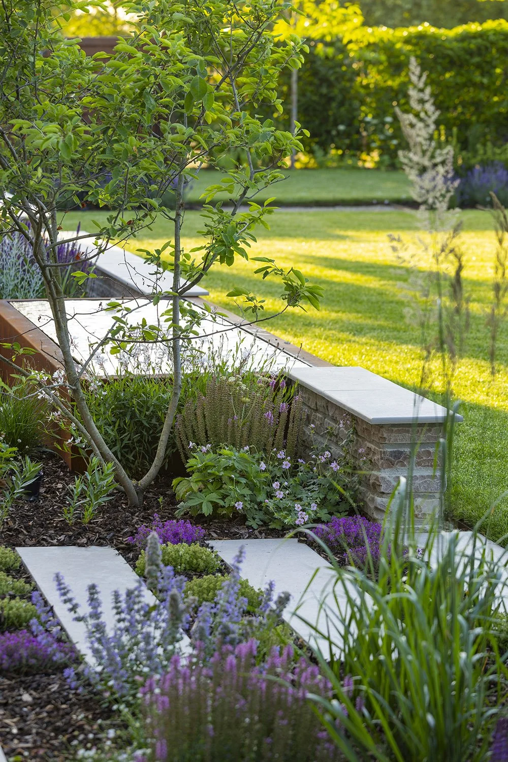 robert-johnson-garden-design-Lincs-stepping-stones-through-planting.jpg