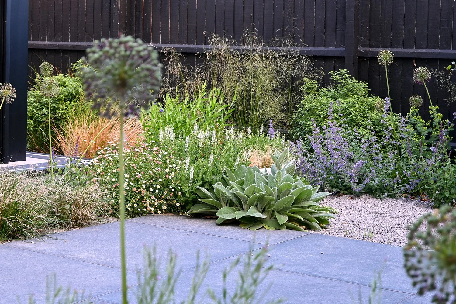 robert-johnson-garden-design-Stamford-mediterranean-planting.jpg