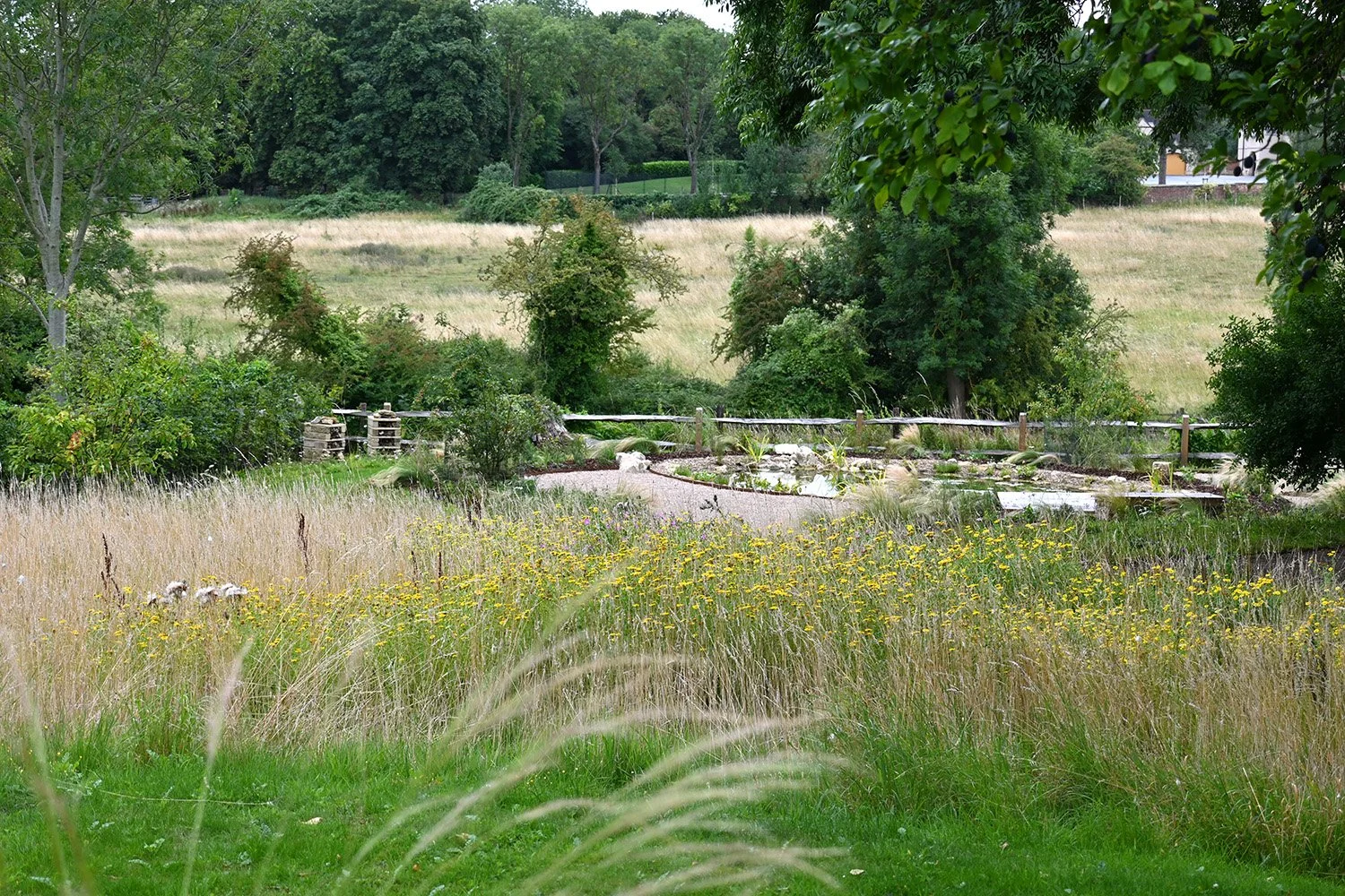 robert-johnson-garden-design-Cambridgeshire-wildflower-pond-natural-wildlife.jpg