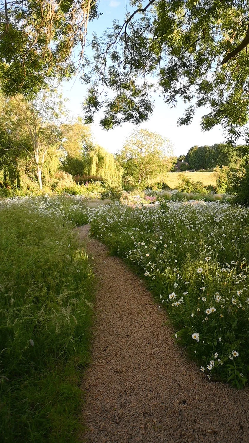robert-johnson-garden-design-Cambridgeshire-natural-winding-gravel-path-trees.jpg