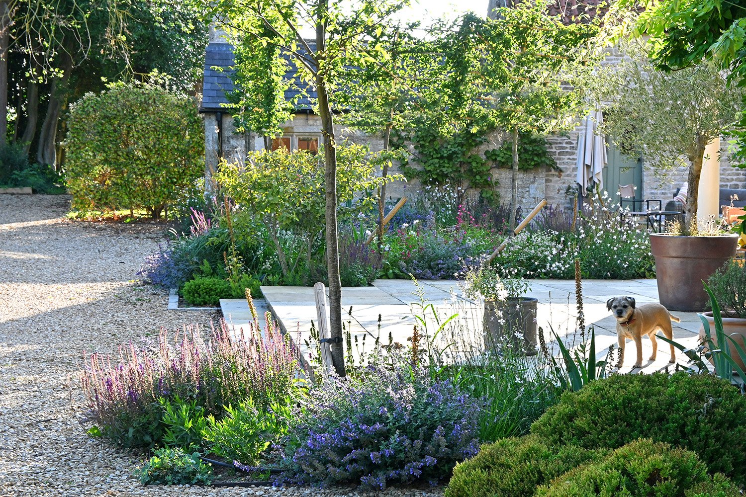 robert-johnson-garden-design -Grantham-gravel-driveway-soft-planting-patio.jpg