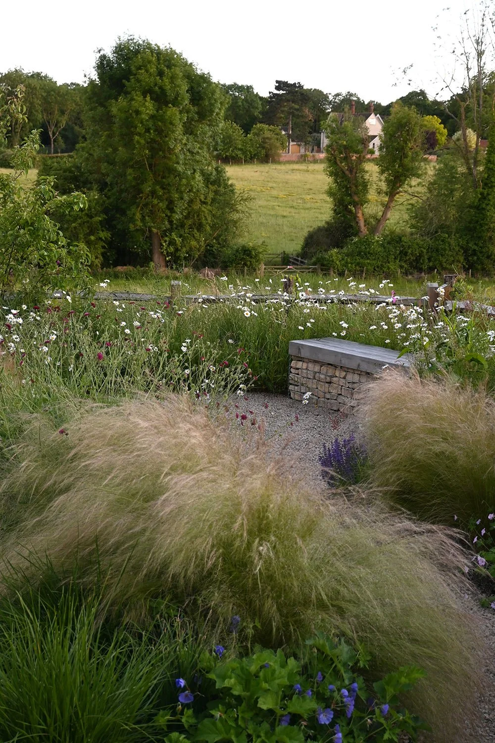 robert-johnson-garden-design-Cambridgeshire-landscape-gabion-larch-seating.jpg