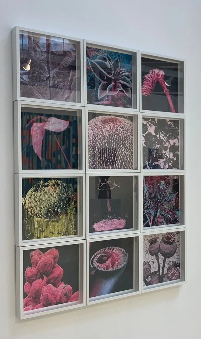 Art Evolve 2026 installations 5.jpg