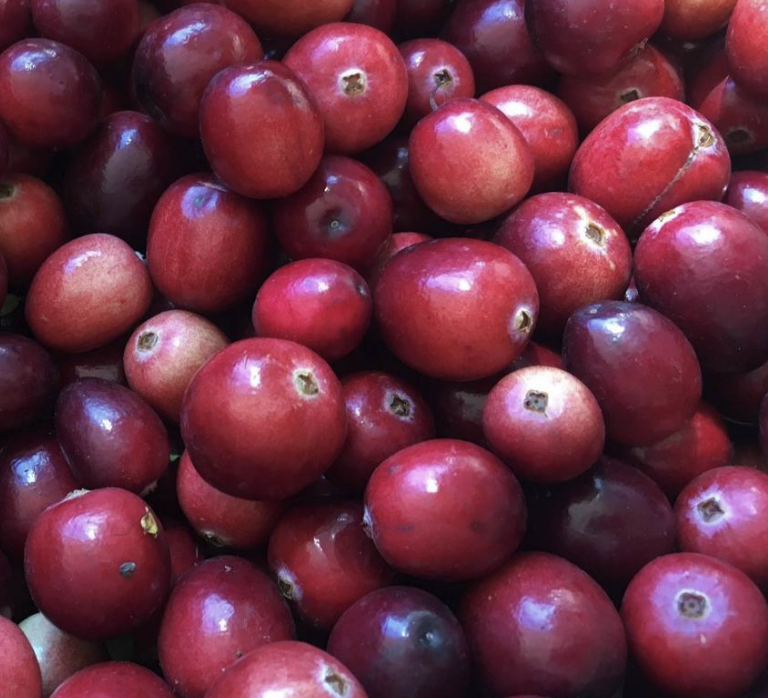 cranberry.png