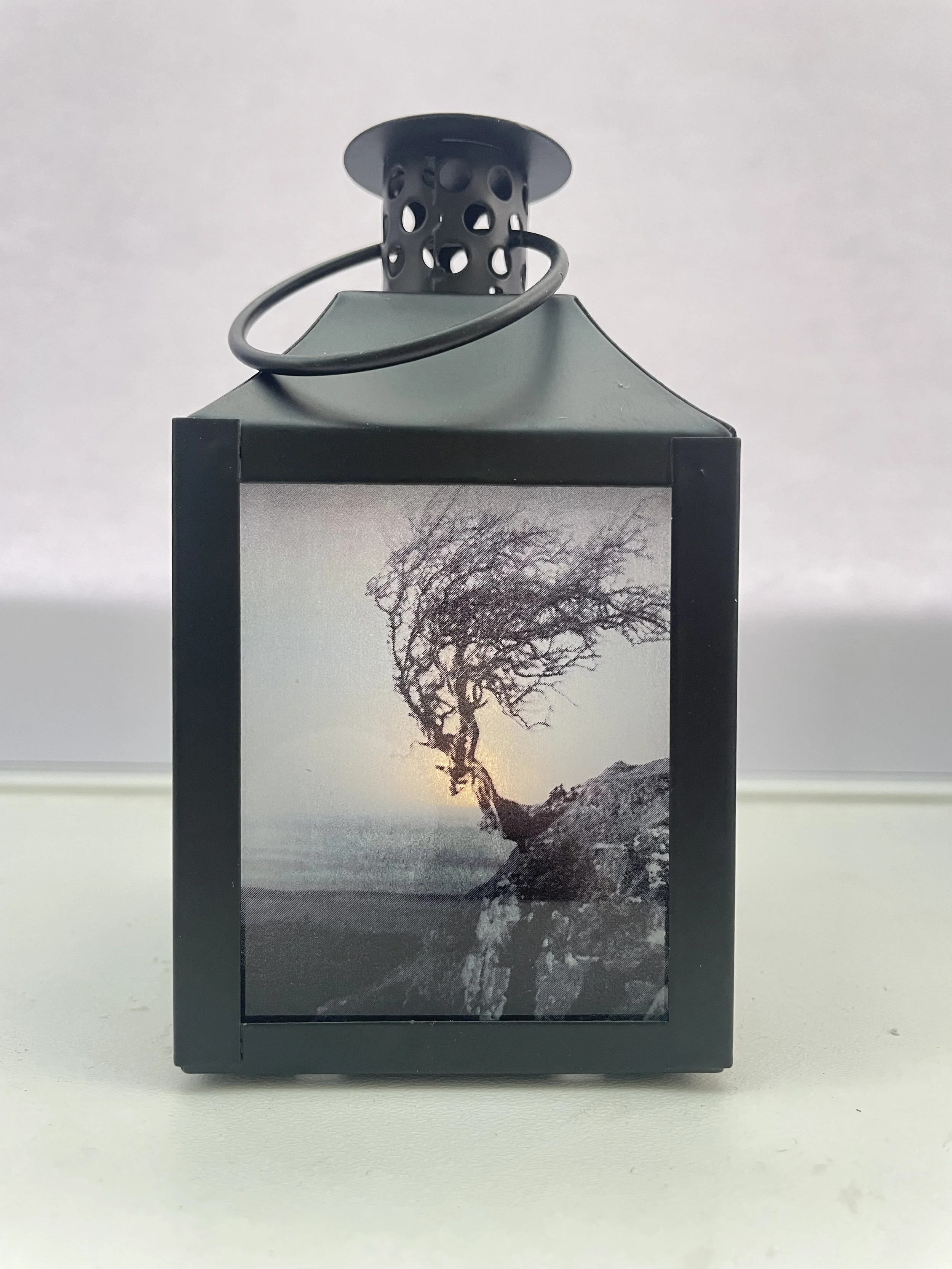Hawthorn tree on the hillside - small lantern.