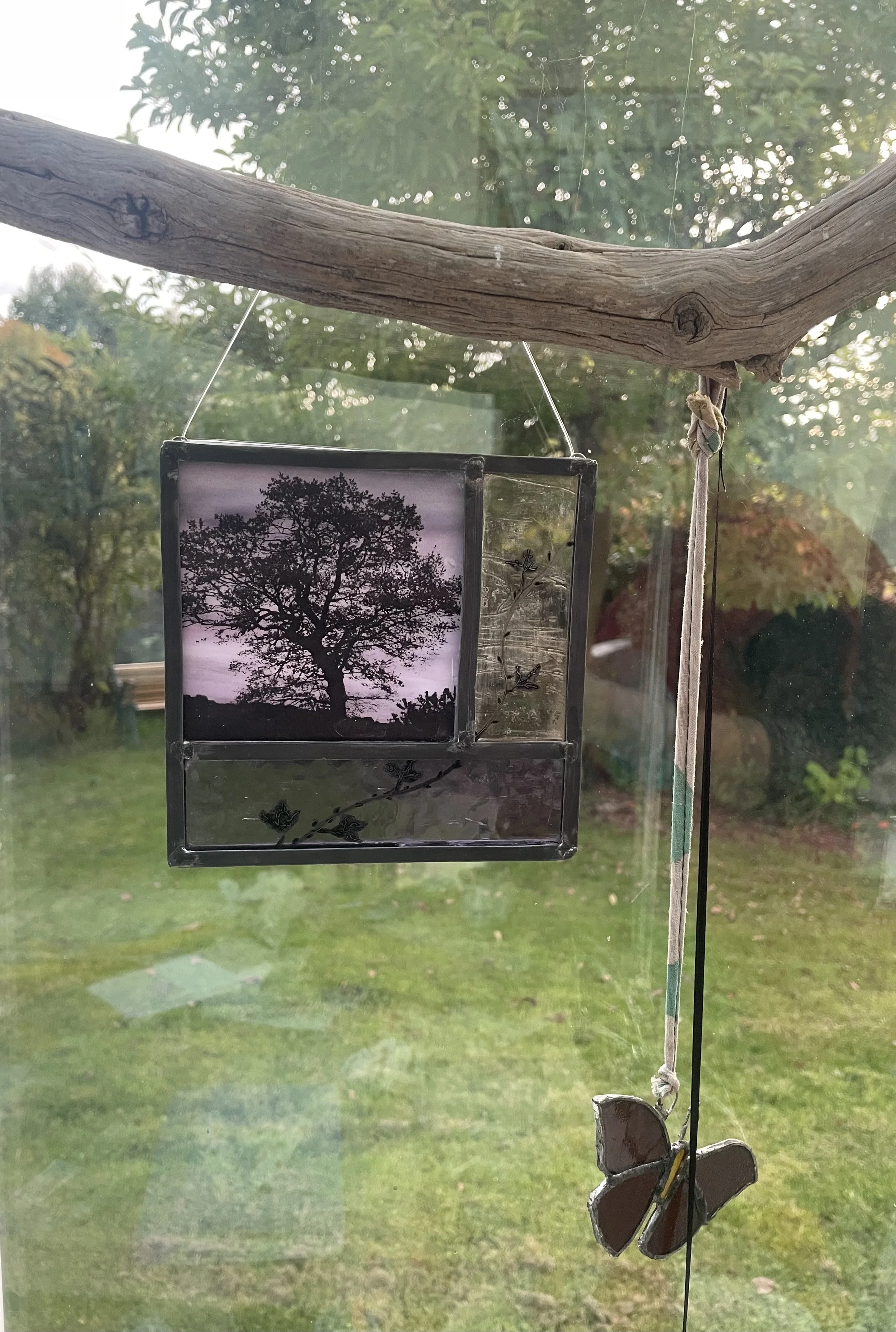 IMG_3215.jpeg