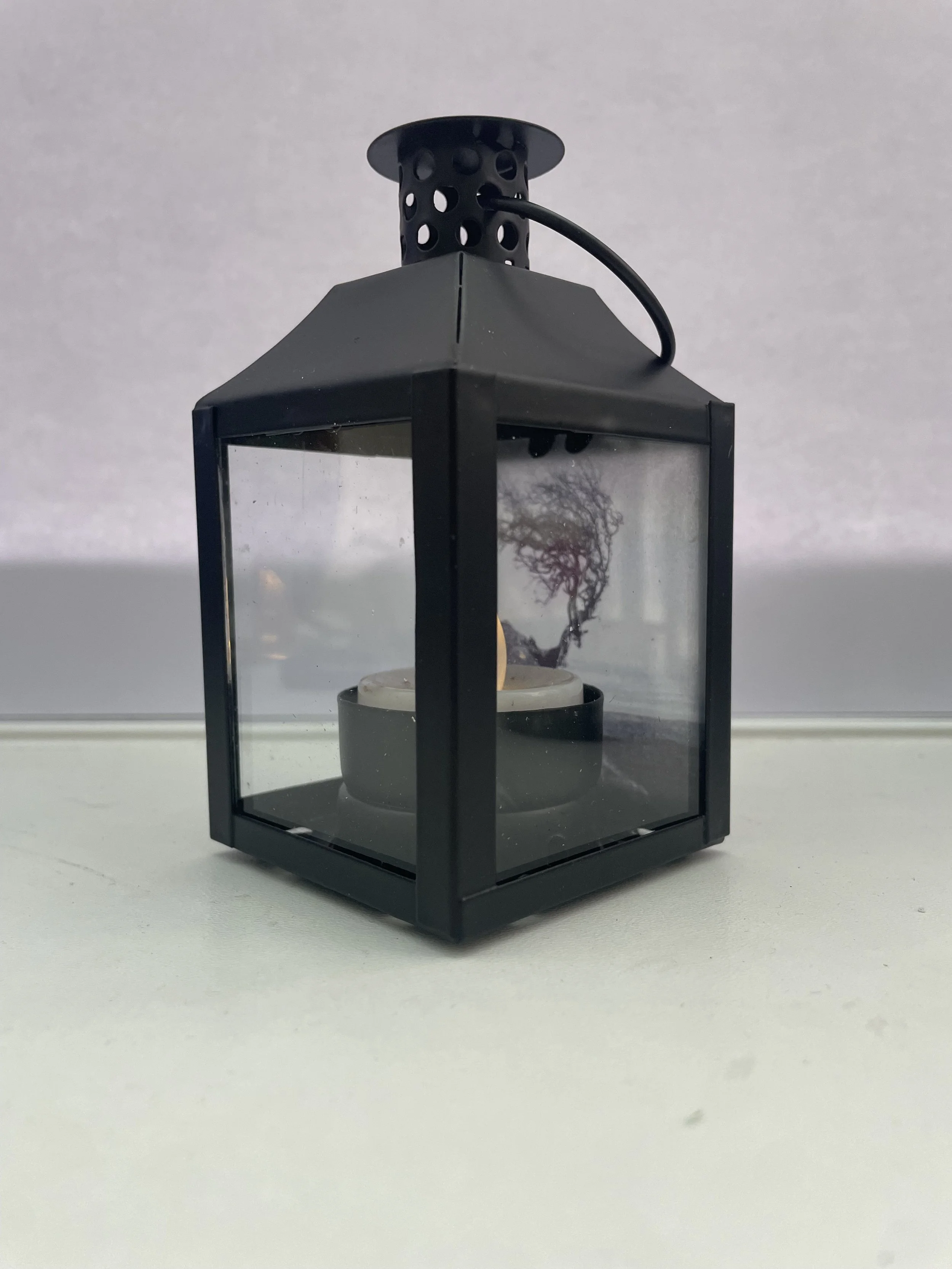 Hawthorn tree on the hillside, side angle of small lantern.