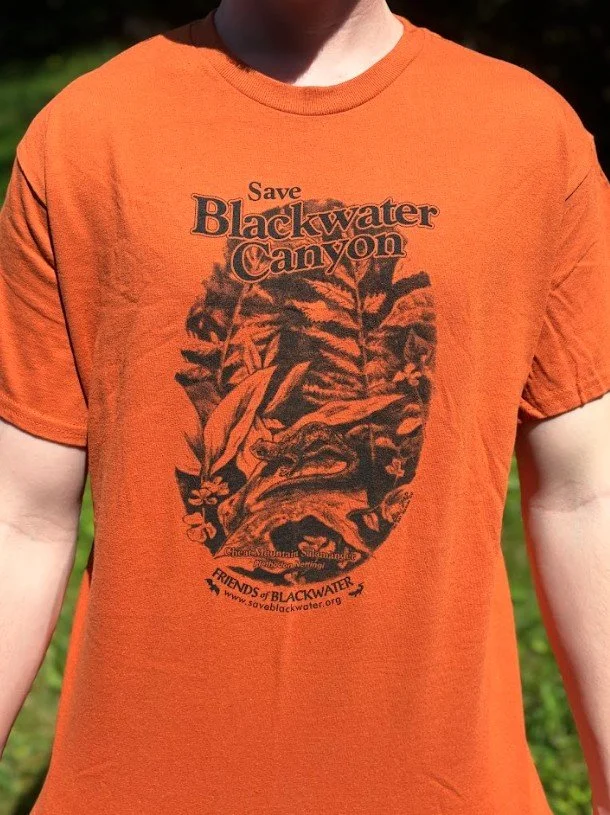 Cheat Mountain Salamander