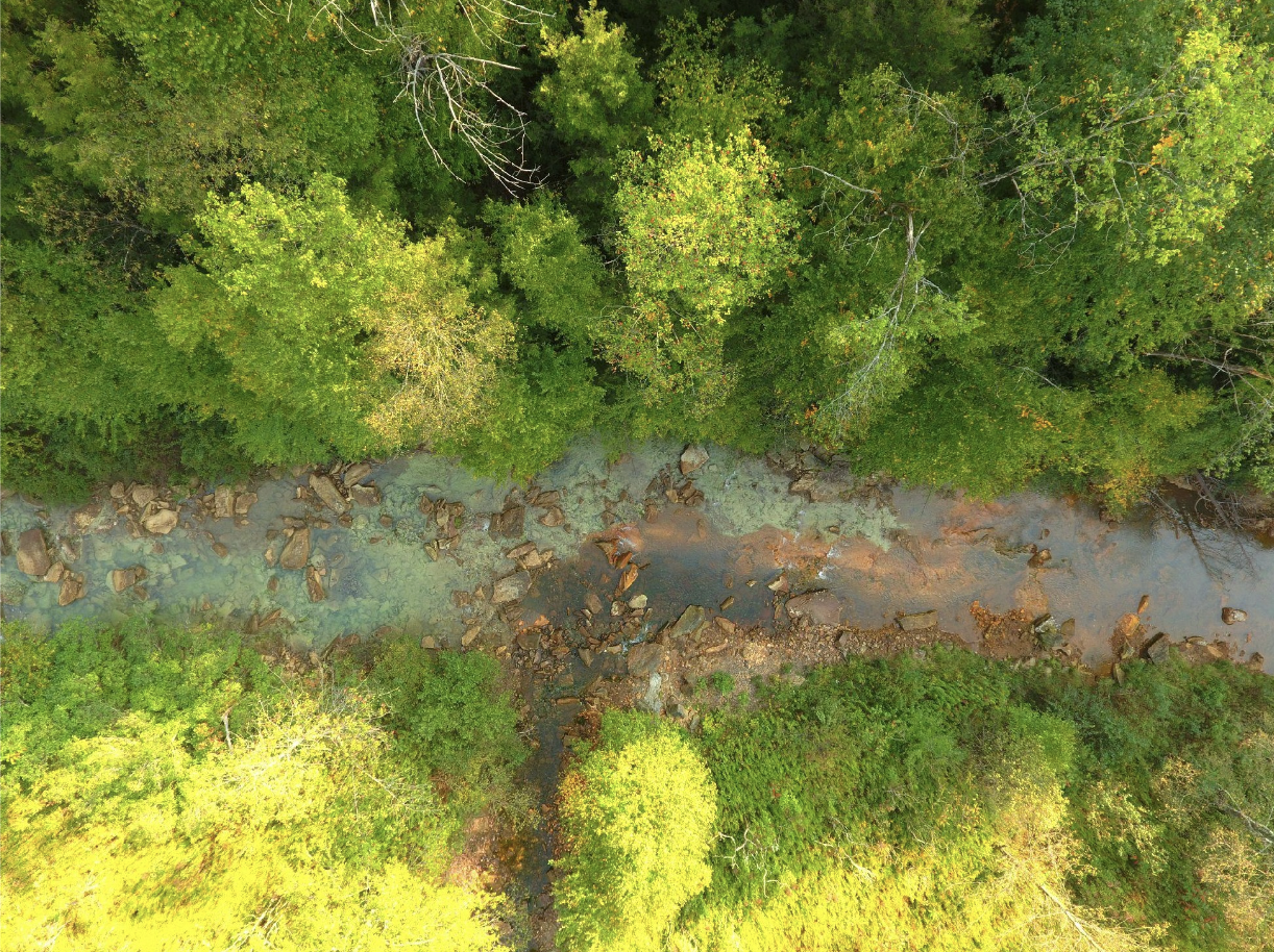 Blackwater Canyon: A Landscape Transformed