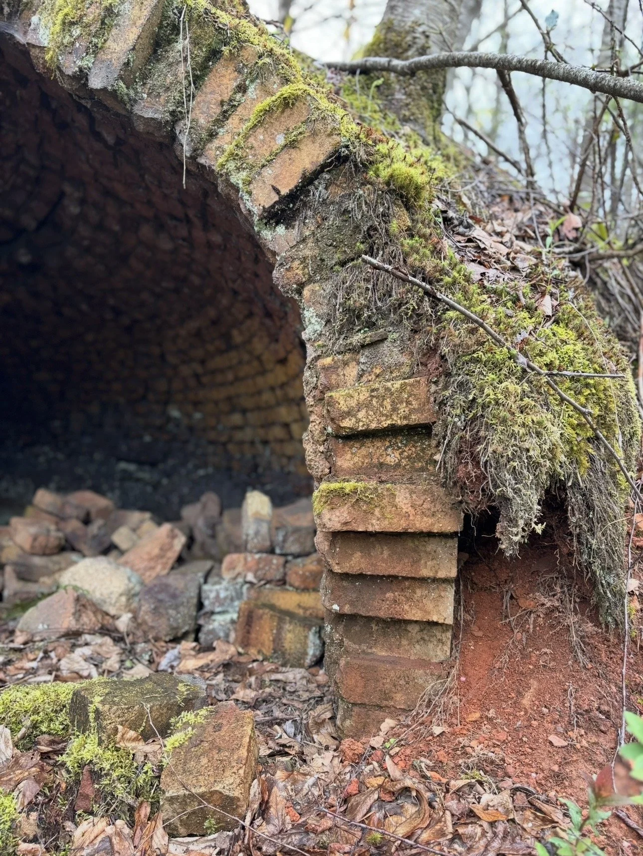 The Coke Ovens of Coketon