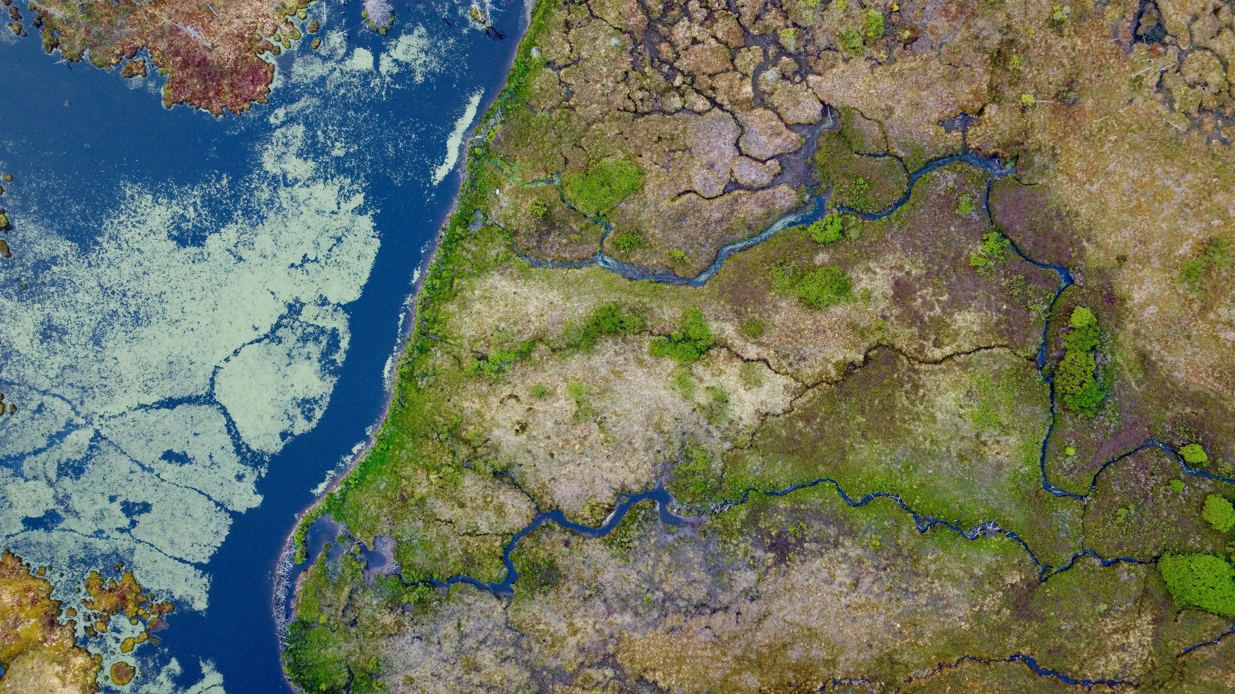 Contact — Friends of Blackwater