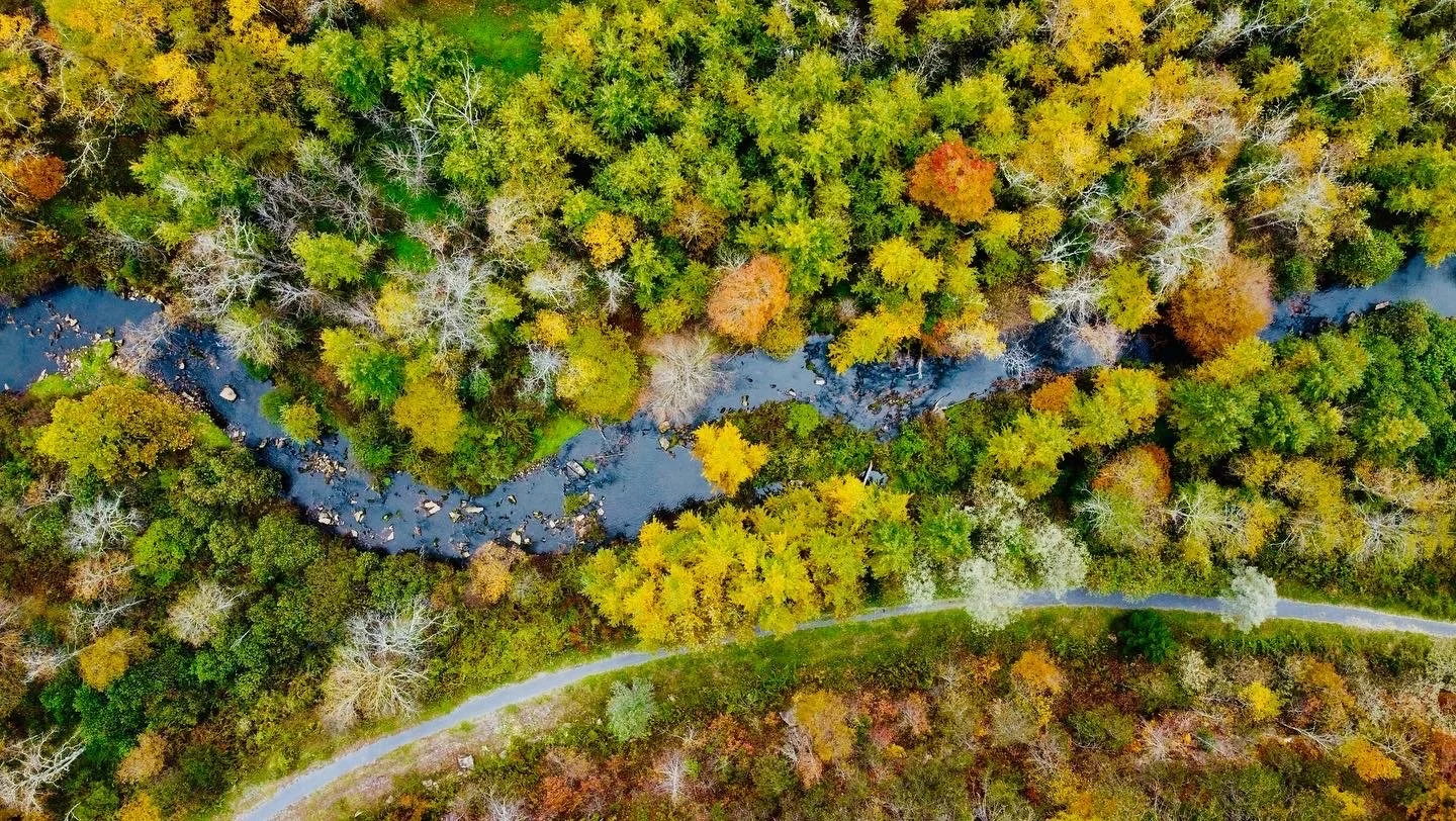 North Fork Fall Foliage.JPG