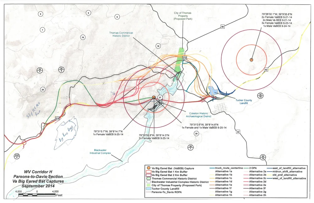 Corridor H | Get Involved Today — Friends of Blackwater