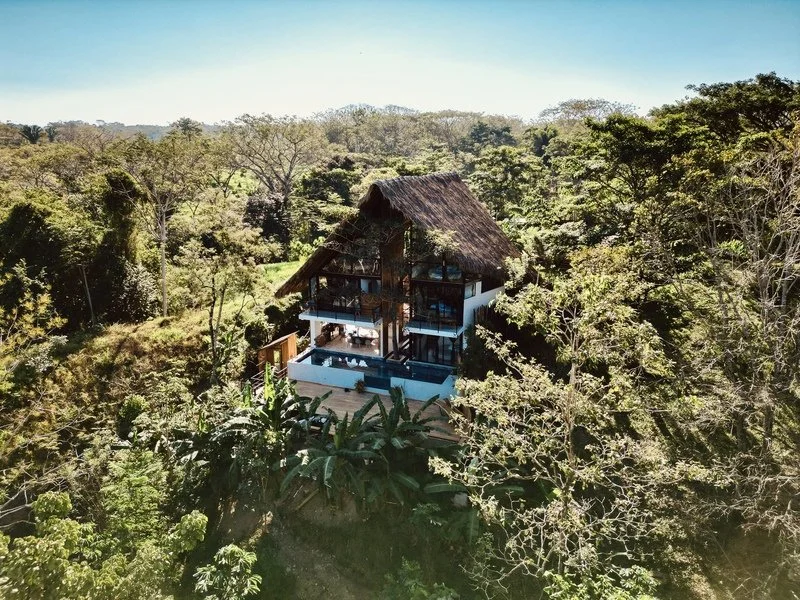 outside - bamboo (5)..jpg