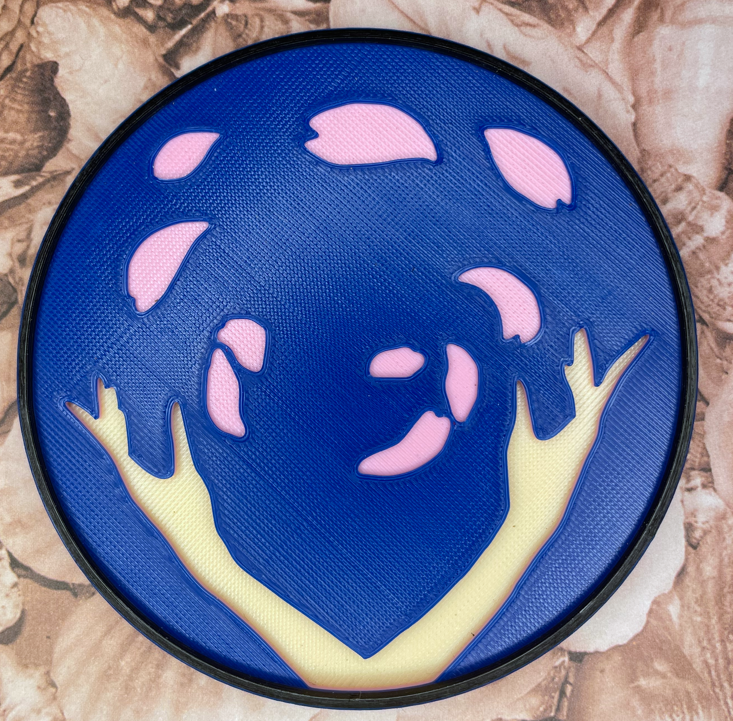 Robin Shells.png