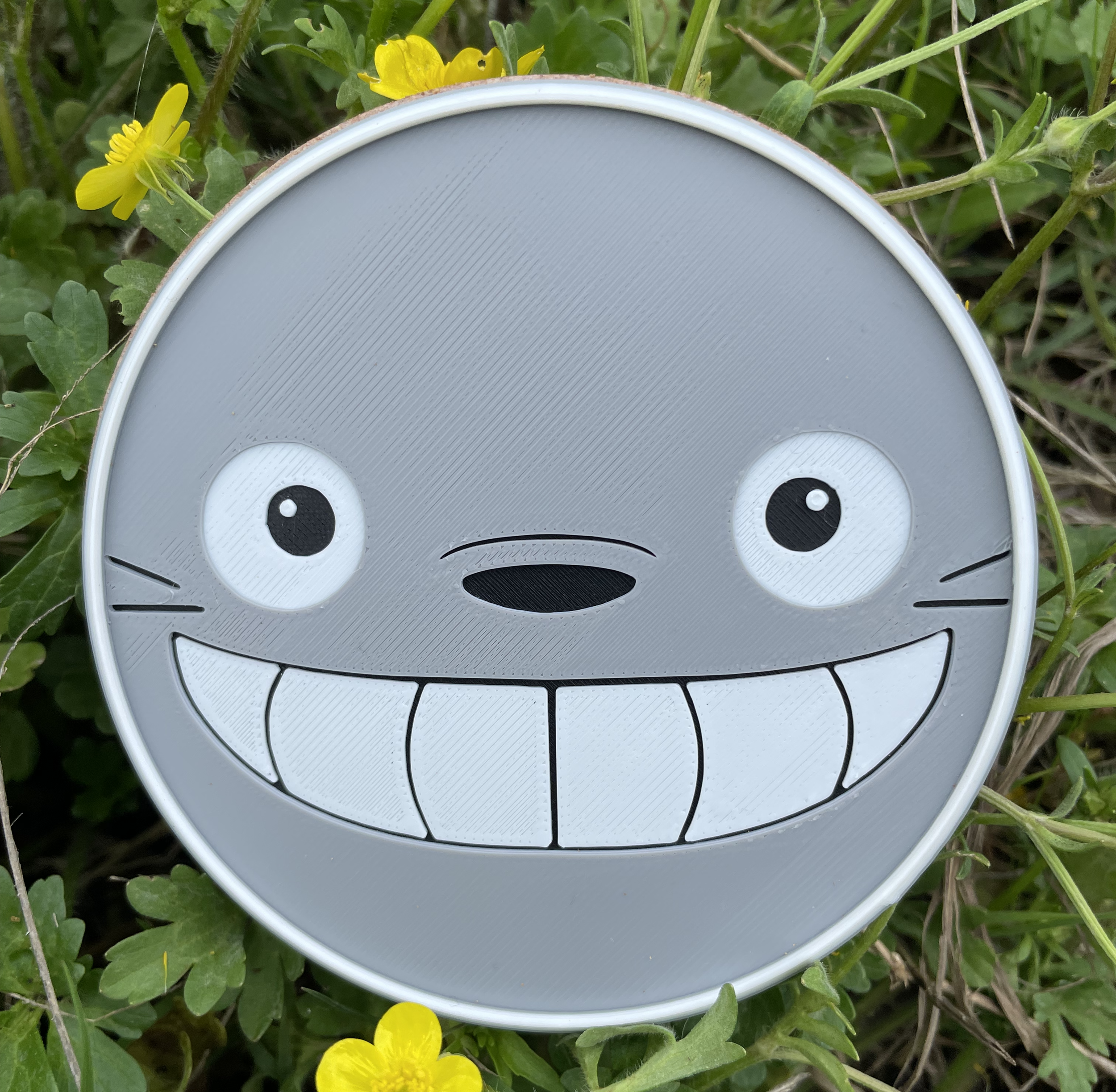 Totoro Outdoors.png