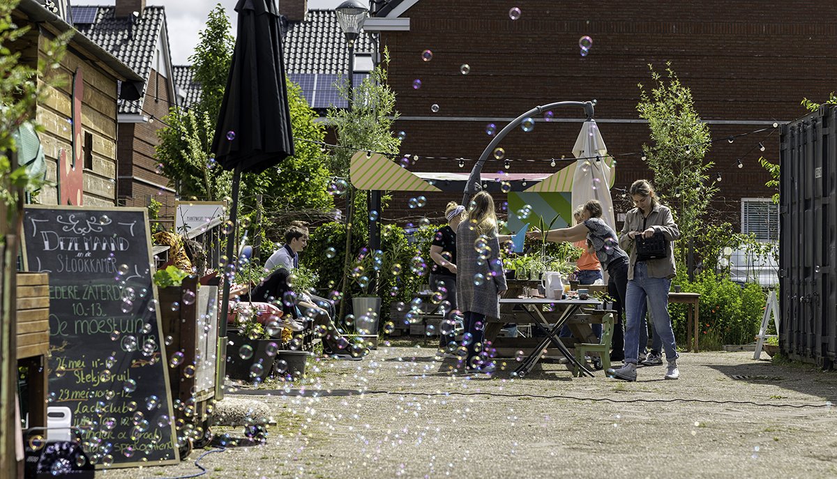 Jouw urban jungle uitbreiden? Adopteer een plant