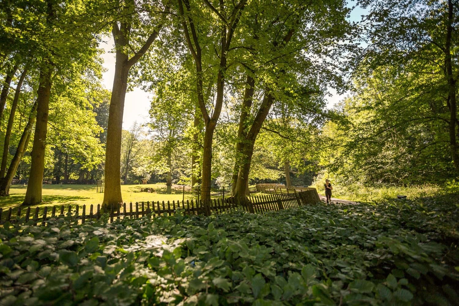 Lijstjes van Loes – Hardlooprondjes in Haarlem
