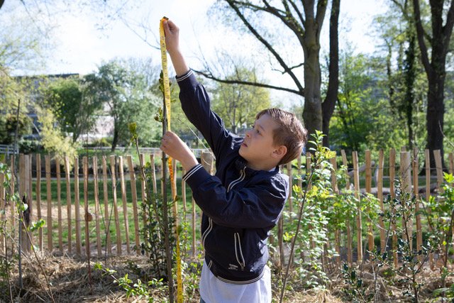 Bomen meten en beestjes zoeken