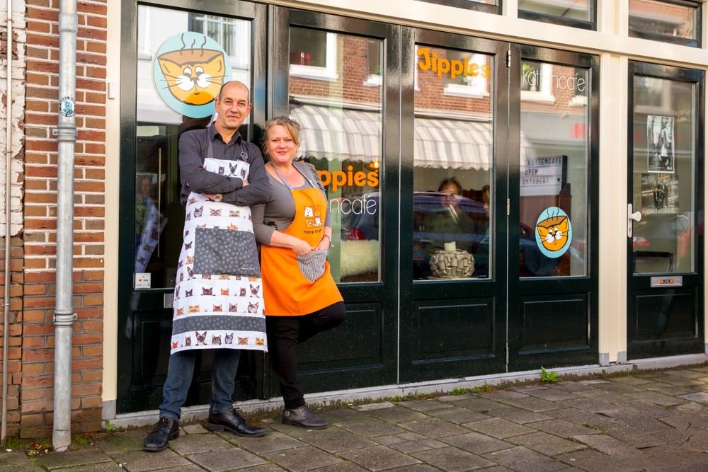 Nieuw in Haarlem: lunchen met 8 katten op schoot