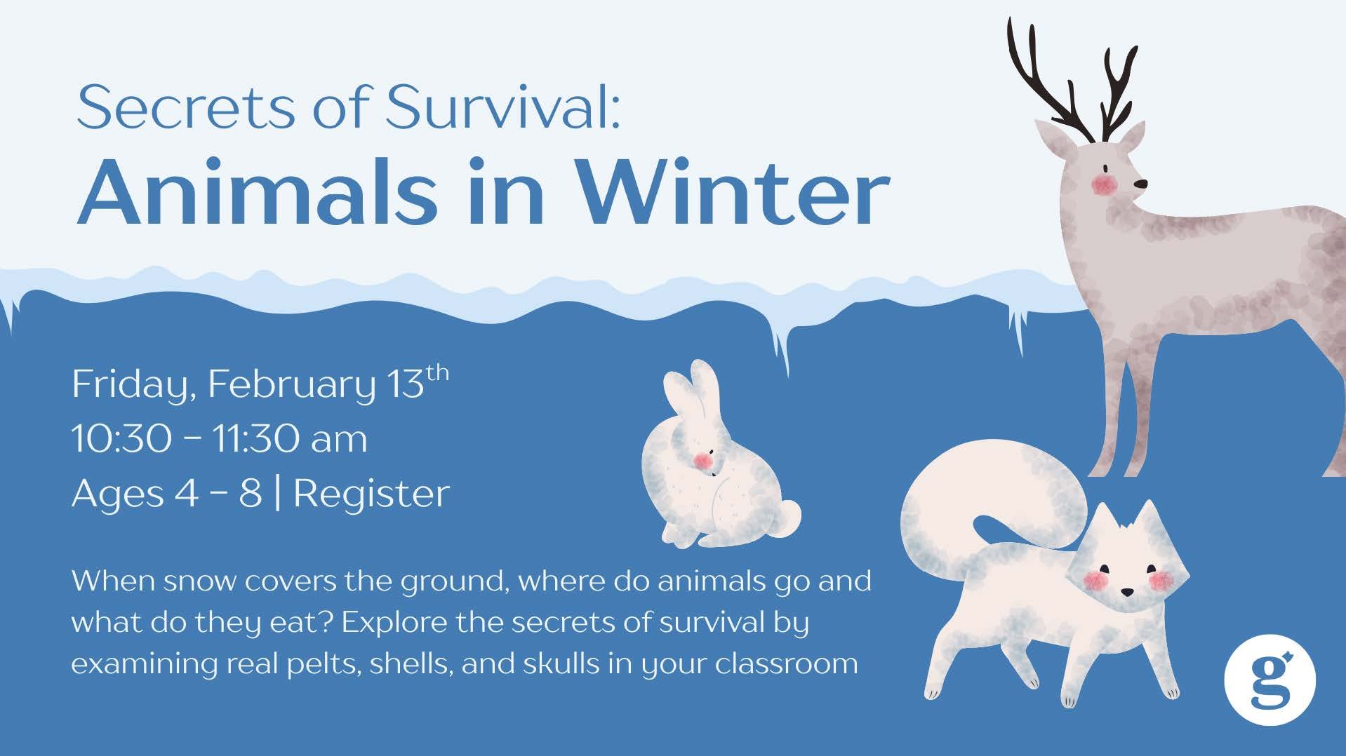 Secrets of Survival: Animals in Winter