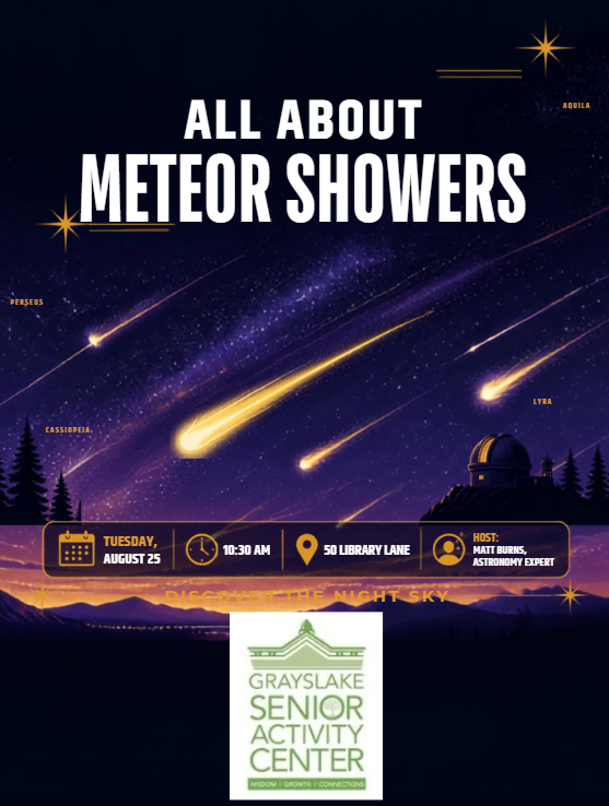 8.25_Meteor Shower.png
