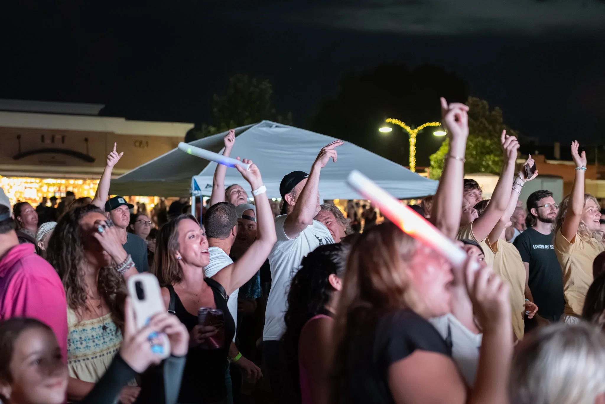 Crowds Summer Fest.jpg