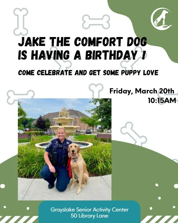 3.20_birtrhday comfort dog.jpg