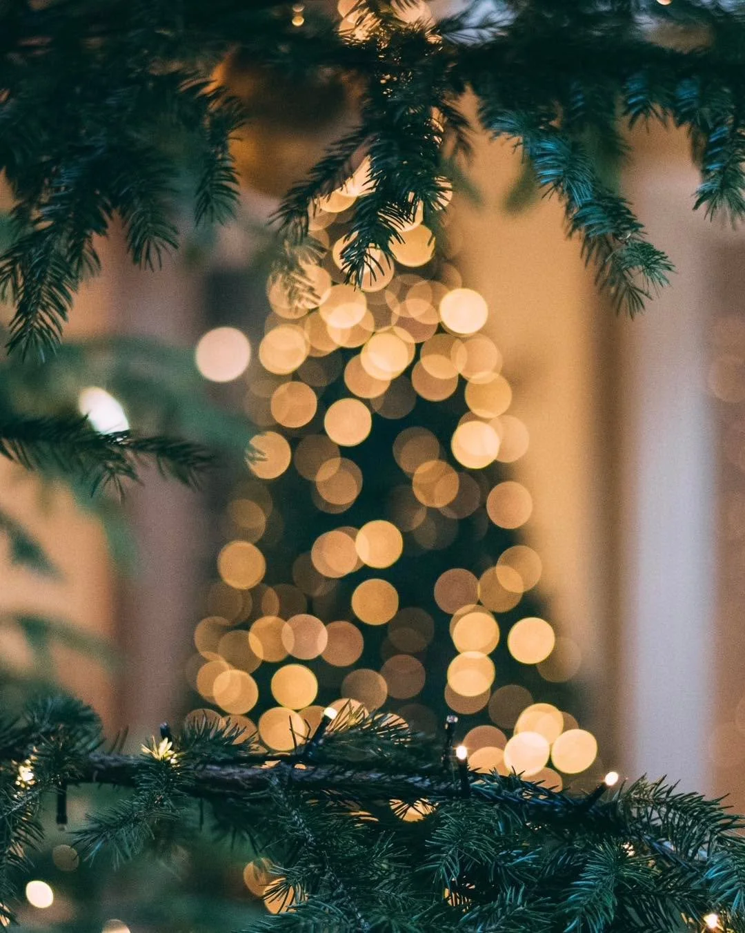 Joyeux No&euml;l ! 🎄🌟
Merci &agrave; tous d&rsquo;&ecirc;tre de plus en plus nombreux &agrave; suivre mon aventure entrepreneuriale &agrave; mes c&ocirc;t&eacute;s 🤩 Que ces f&ecirc;tes de fin d'ann&eacute;e soient remplies de bonheur, d'amour et 