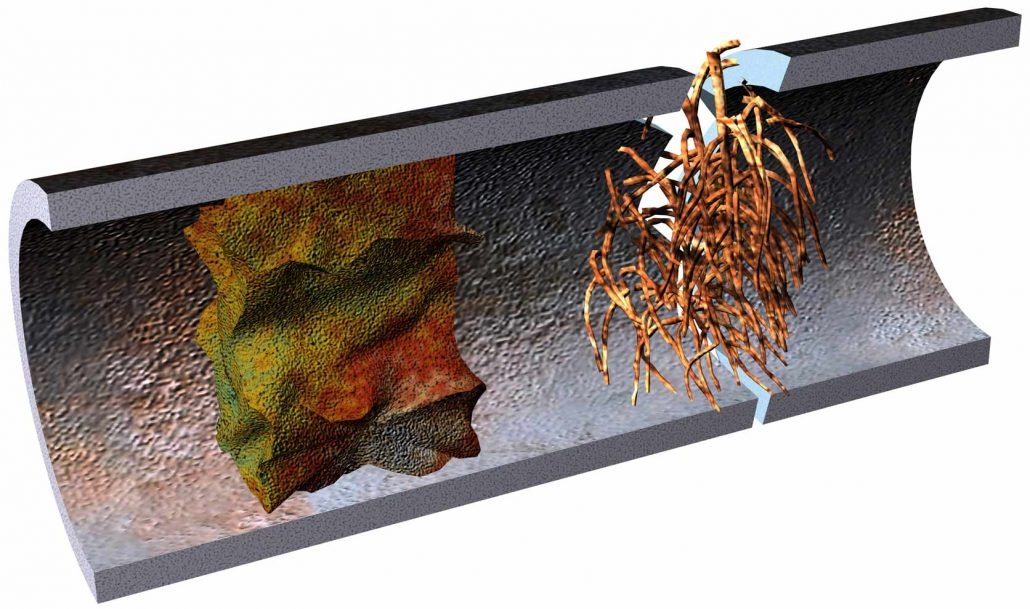 Understanding Drain Backups: Why They Happen in Seattle, Washington