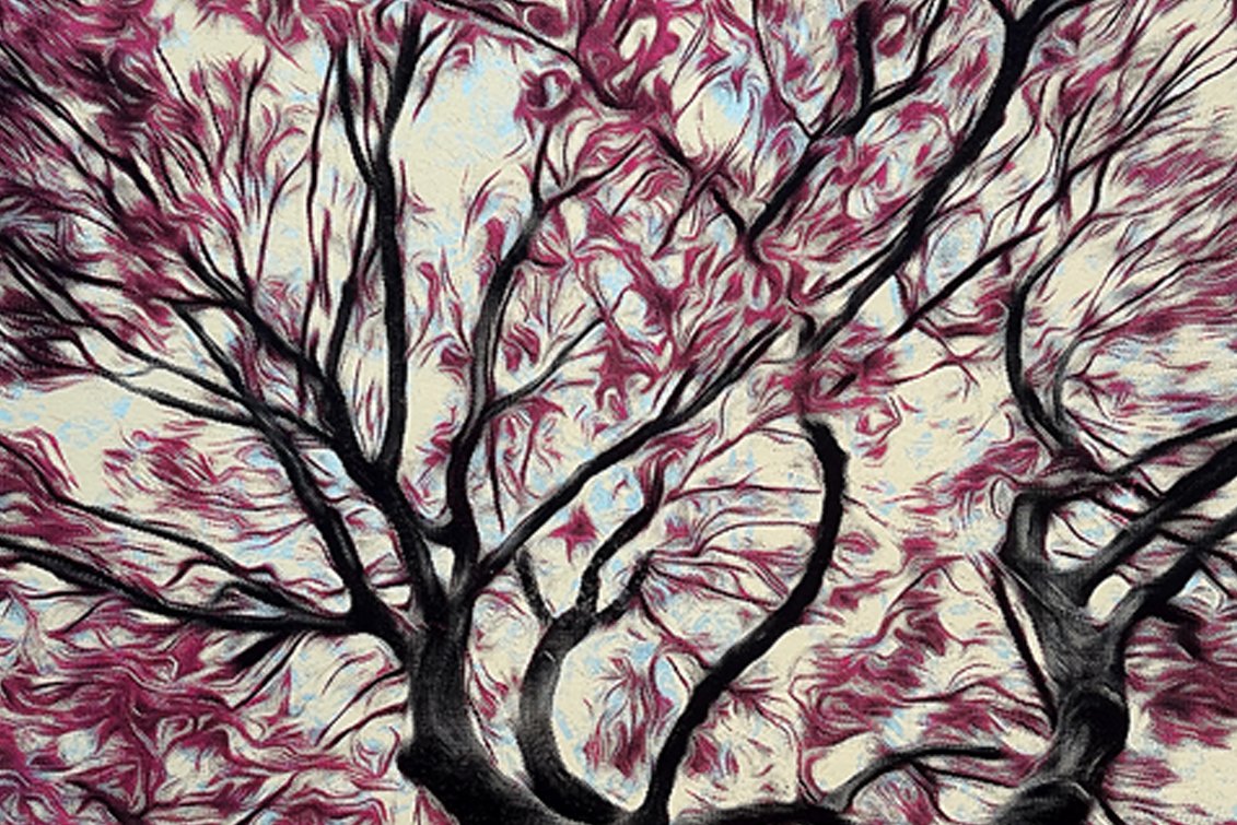 Forest Came Alive 16x20