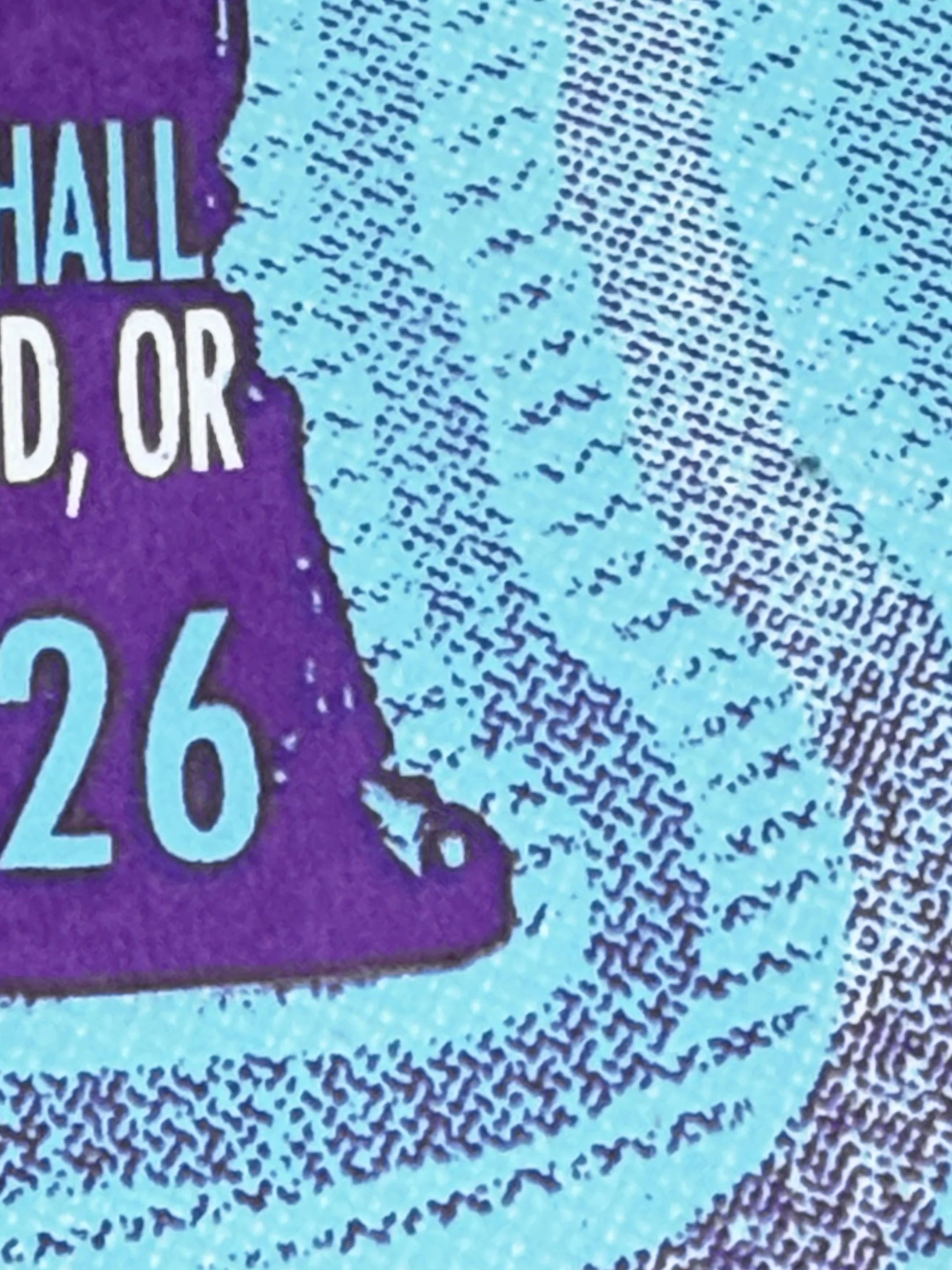 John Craigie - Help The Lonely Beatles For Sale Screen Print - Detail 3