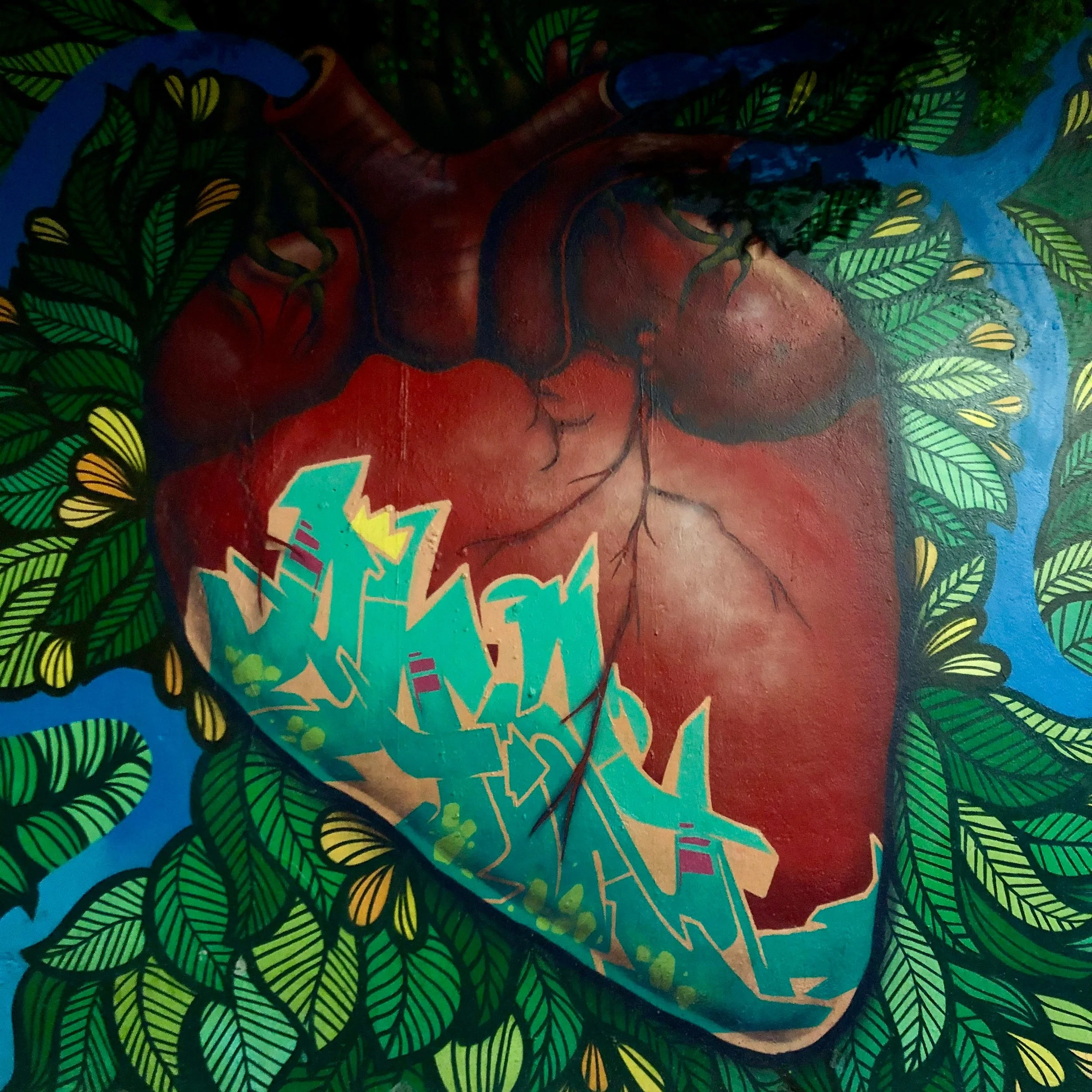 Embrace Holistic Healing: Listening to Your Body’s Signals