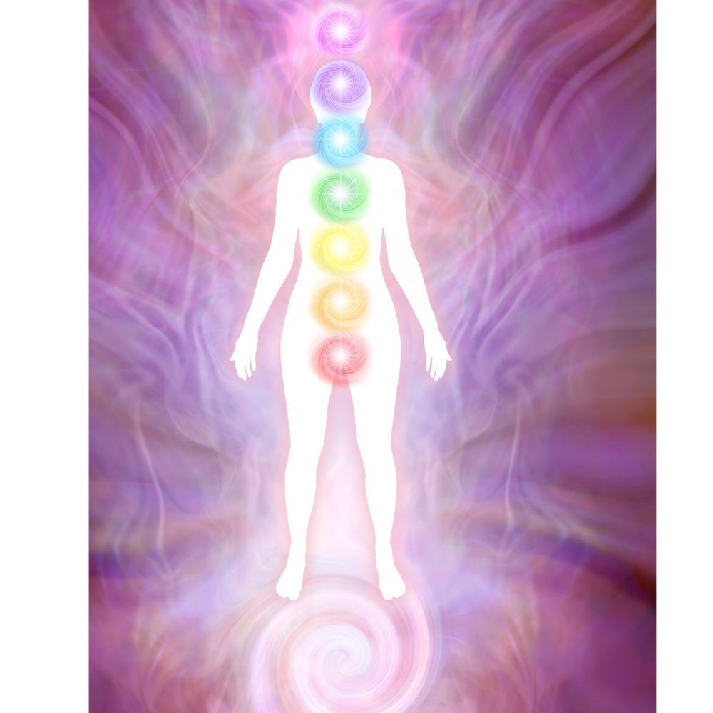 Chakras 101: The First Chakra (Root Chakra or Muladhara) — Bamboo ...